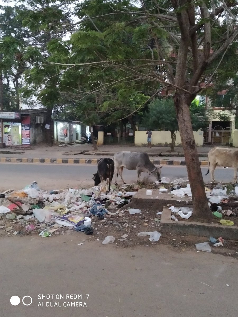 jpsoo7's tweet photo. ଗୋଟିଏ ପଟେ ଆମ ଭାରତ ସରକାର #ସ୍ୱଚ୍ଛଭାରତଅଭିଯାନ ର ନାରା ଦେଉଥିବା ବେଳେ, ଅନ୍ୟ ପଟେ ଆପଣମାନେ ଦେଖିପାରୁଥିିବେ ଭୁନେଶ୍ବରସ୍ଥିତ ଶୈଳସ୍ରୀ ବିହାର ଦୃଶ୍ୟ।
ବାଃ ଆମ ମୁନିଶିପାଲ୍ଟି @bmcbbsr ର କି ସଫେଇ ଅଭିଯାନ, ଟିକେବି ଅଳିଆ ନାହିଁ ଏଠି।
ସ୍ଥାନ:- infront of VIM-22, Sailshree Vihar, C.S Pur, BBSR
#Bhubaneswar #Odisha https://t.co/0VCjfGCMxs