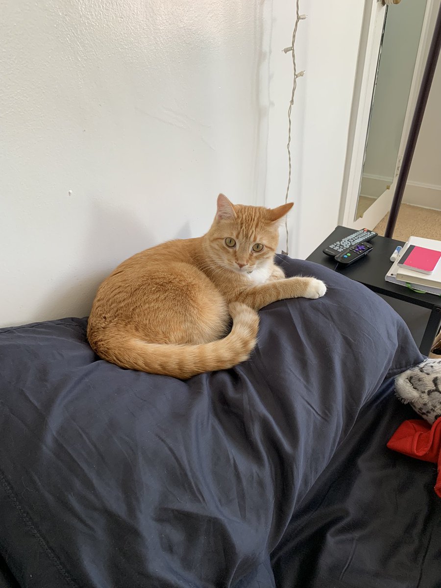 i will’ Not be startign the day, ty !!