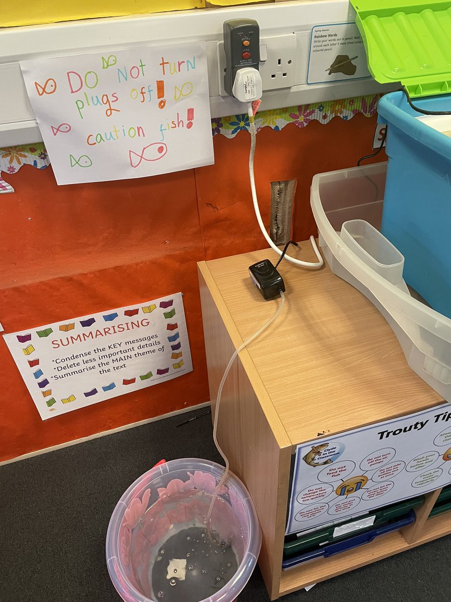miss_mccash's tweet photo. P4’s Hatchery all set for our fish eggs arriving☺️!! https://t.co/V1IZUj2VU8