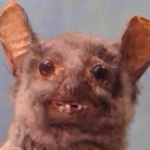 That akwards moment wanneer je bij de kapper zit &amp; je naar uzelf moet staren voor een heel uur. Never felt so ugly in my entire life 🥲