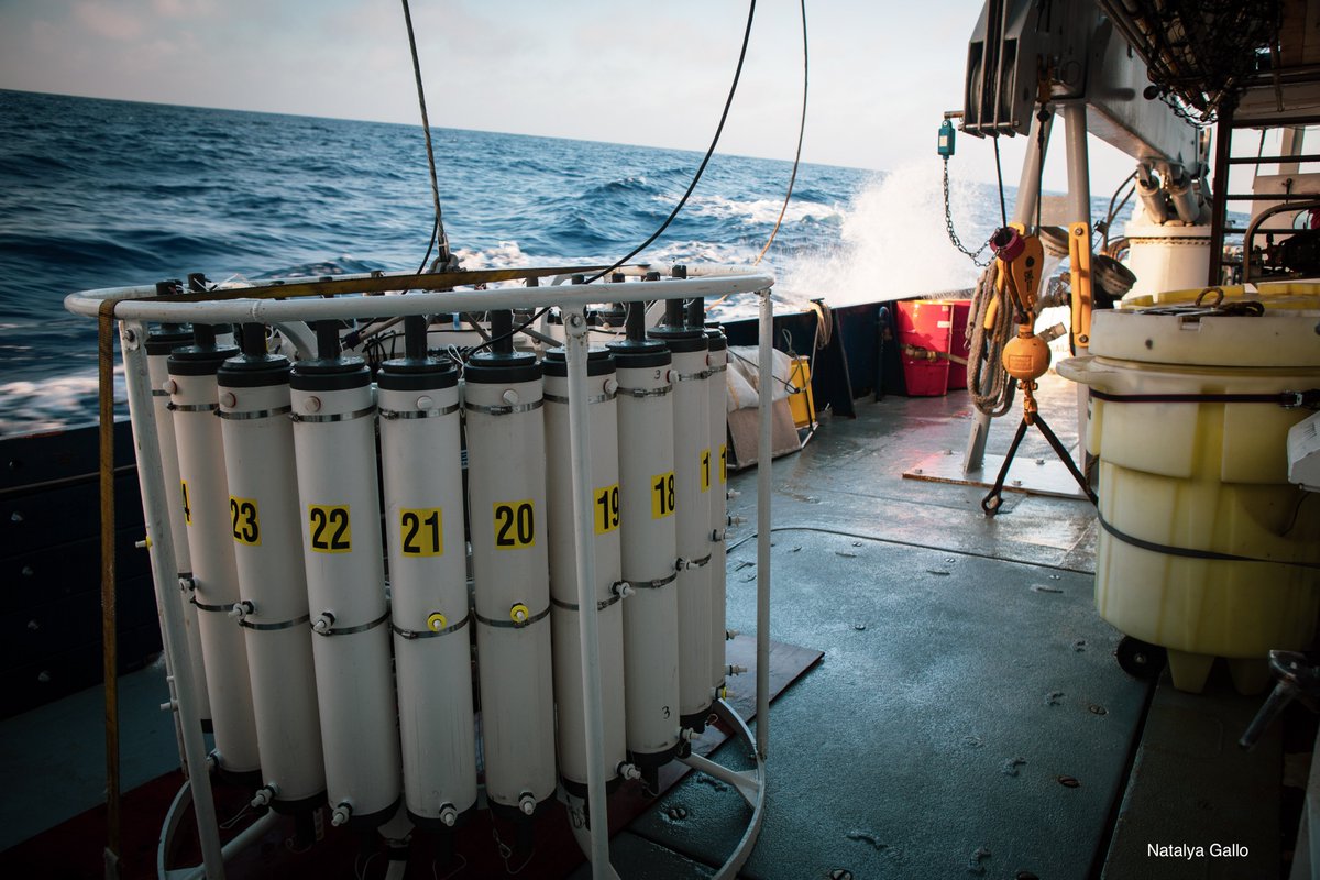 Natalya_Gallo's tweet photo. It's #CTDAppreciationDay -- this terrific instrument is the workhorse of oceanography. Here are some of my fave #CTD pics from @Scripps_Ocean @NOAAFisheries @calcofi cruise BH1907 in the #CaliforniaCurrent. It was the 70th anniversary of the program when these were taken in 2019 https://t.co/i2CLHFAsXh