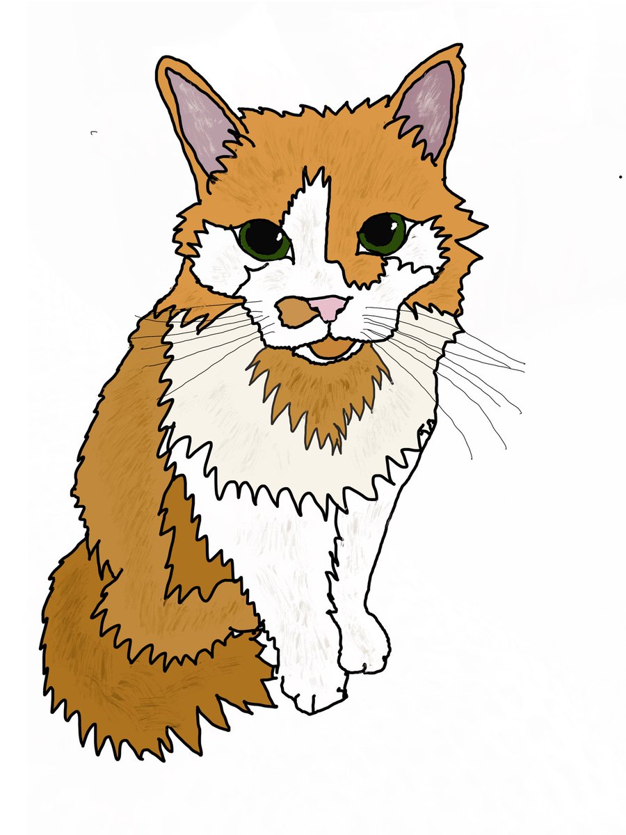 MFbythesea's tweet photo. Happy #Caturday 
I tried out a new app last night &amp; Mr Jasperoo was my first project.
Pretty impressed with the result.☀️🌊 https://t.co/7Kh02uHMVj