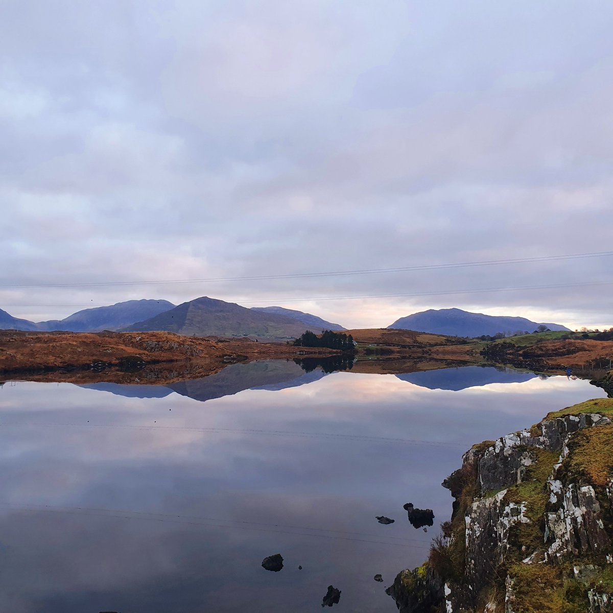Aoifedowdartist's tweet photo. Reflection💗 https://t.co/eVV9oYn90i