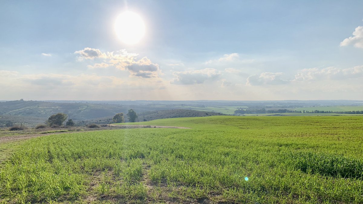 الجمّامه (Aljammameh)