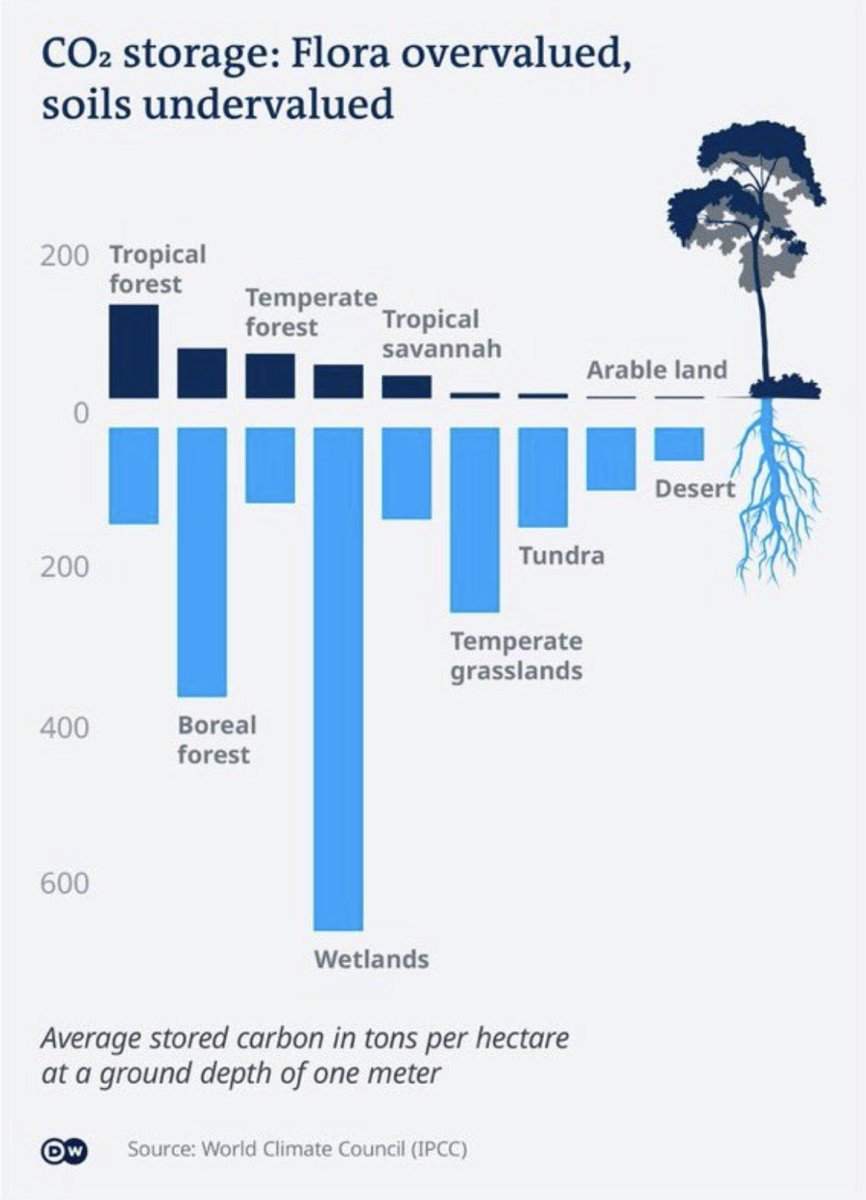 Comparison of plant vegetation vs soils as sinks for carbon. Forestry and agriculture are the main societal sectors that can pull carbon from the air and store it. | IPCC