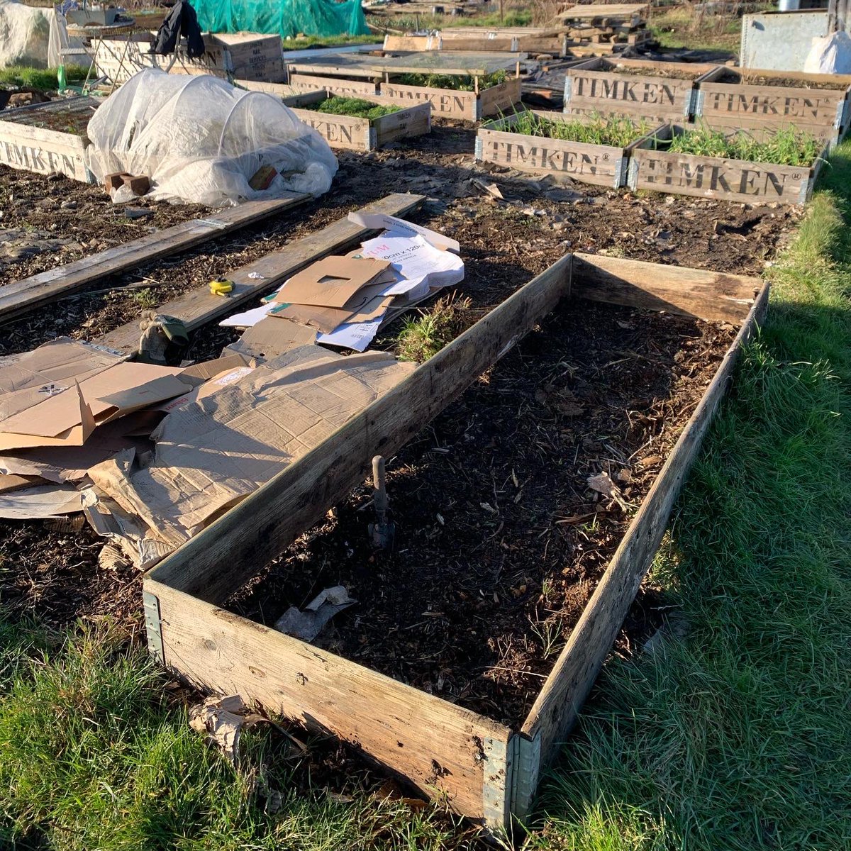 Fran Sherbourne tweet media