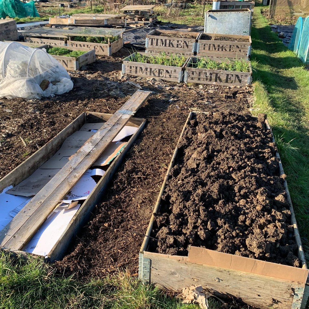 Fran Sherbourne tweet media