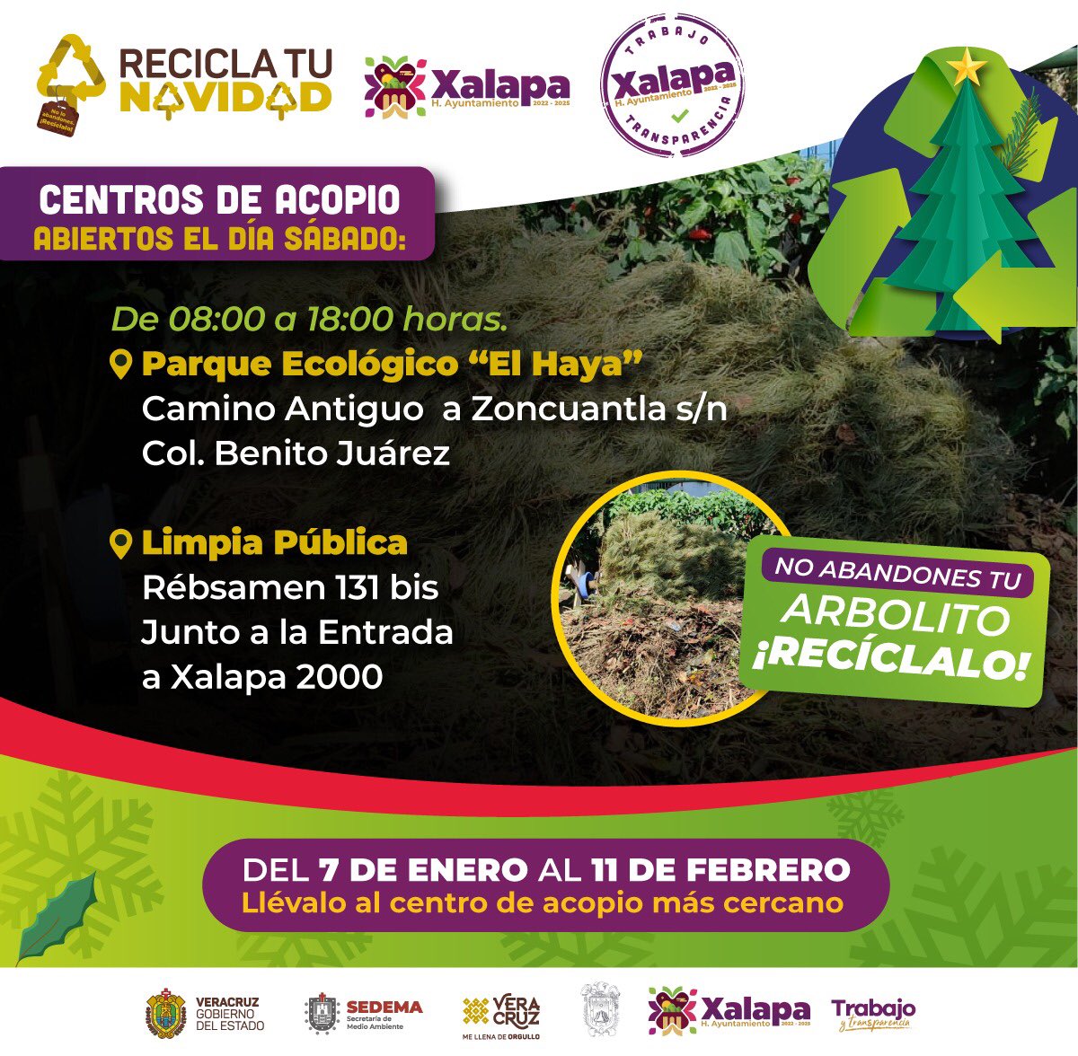 #ReciclaTuNavidad♻️🎄 | Dale una segunda vida a tu árbol de navidad, llévalo a los centros de acopio habilitados el día sábado en:

📍Parque Ecológico “El Haya” 
Camino Antiguo a Zoncuantla s/n.

📍Oficinas de Limpia Pública
Rébsamen 131 bis junto a la entrada a #Xalapa 2000.