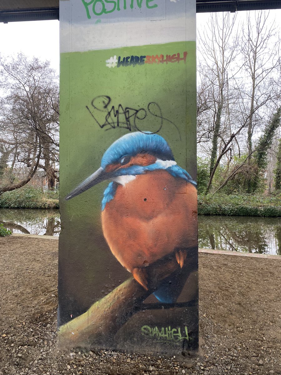 Probably the prettiest #grafitti I have ever seen. #M25 #NewHaw #riverwey #junctionbasingstokecanal #Byfleet