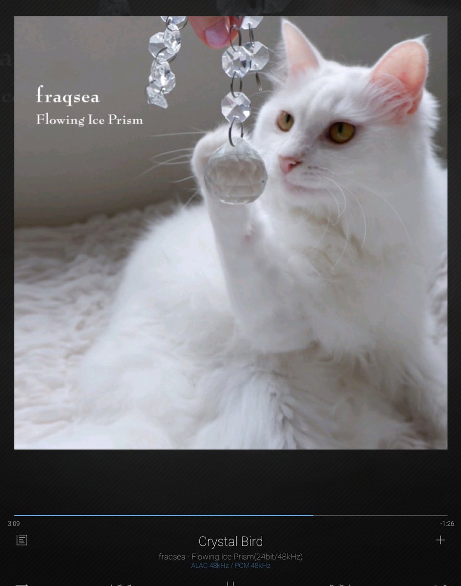 mike_sugino's tweet photo. リリースされたfraqseaの新譜は中毒性高いわ。緻密に構築されたトラックとayaさんの切な気なウイスパーが癖になる。#fraqsea https://t.co/7ig1mKAN8q