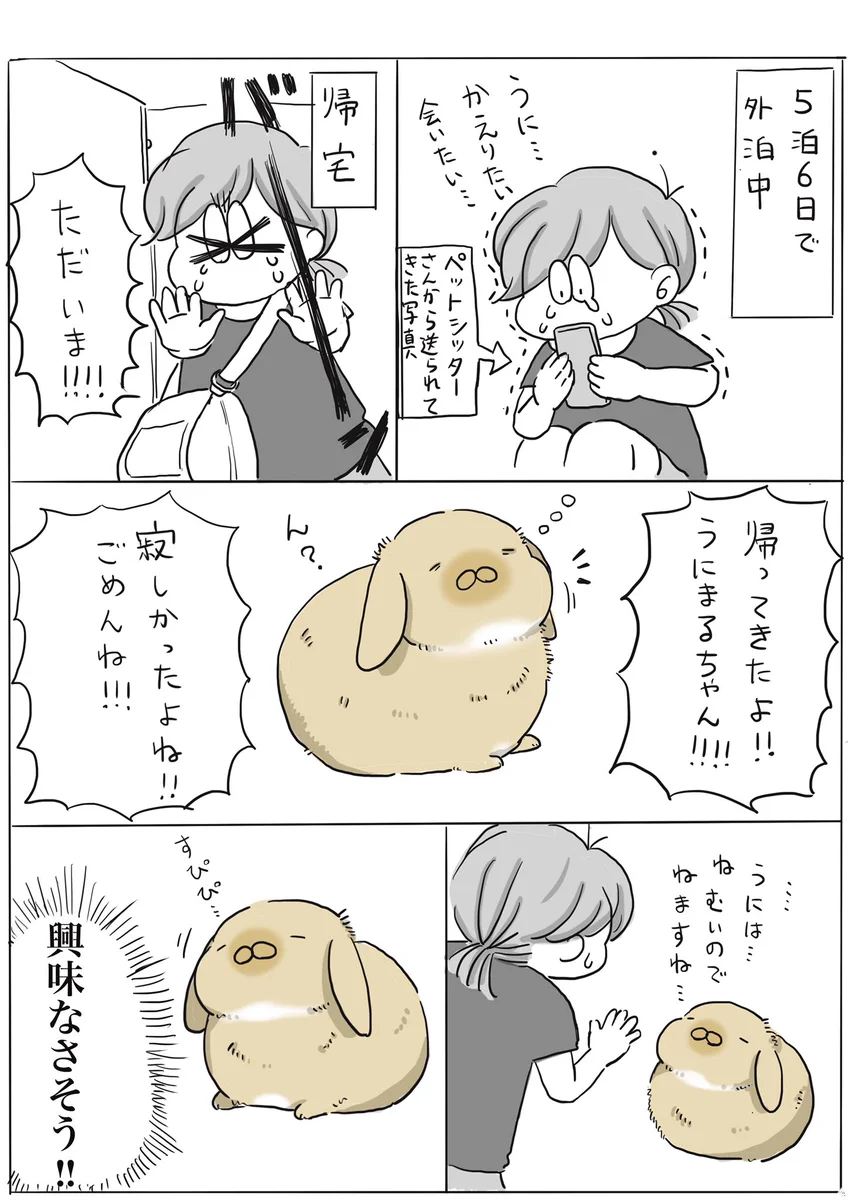かわいすぎるうさぎさん！！5泊6日ほど家を空けた時の反応！