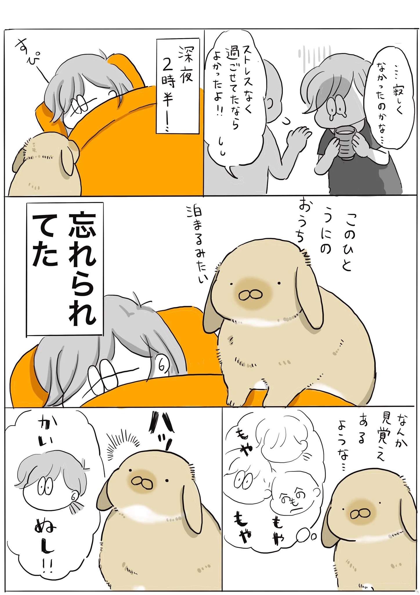 かわいすぎるうさぎさん！！5泊6日ほど家を空けた時の反応！