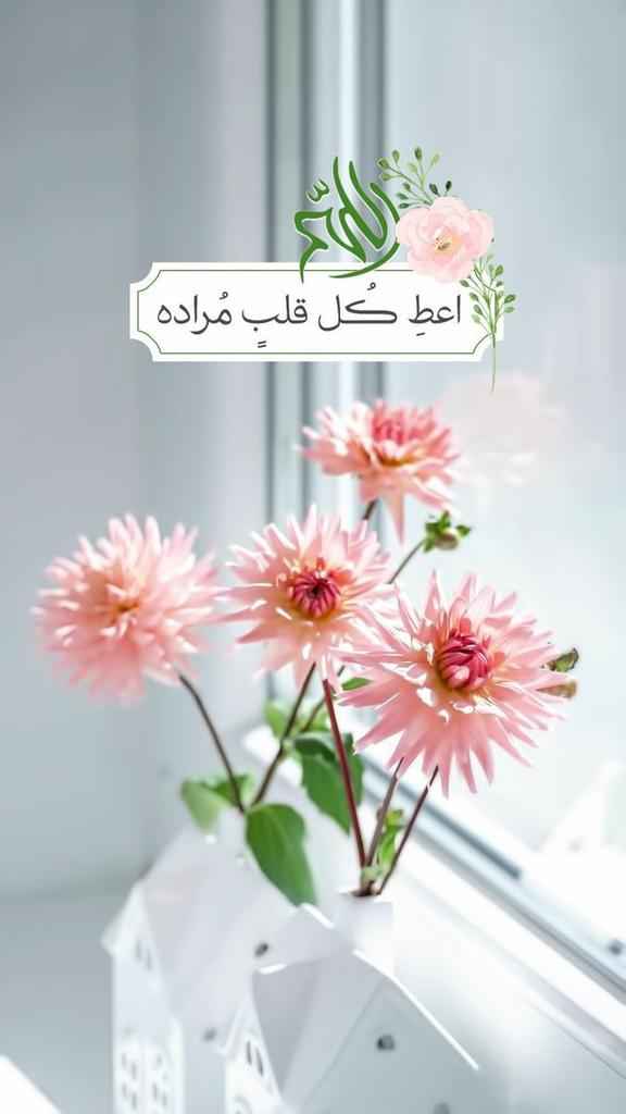 <a href="/h_raawa76/">Raawa Hamdi</a> يااارب حبيبتي بوجودك