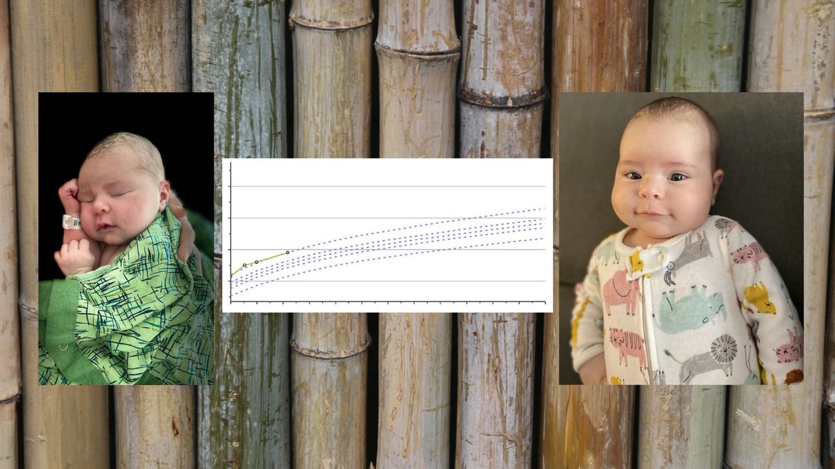 danimalleavitt's tweet photo. Healthy Baby! Irma Jean is above the 99th percentile in height and probably beyond that percentile in happiness. #babygrowth #10weekoldbaby https://t.co/zzpTNBDK3A