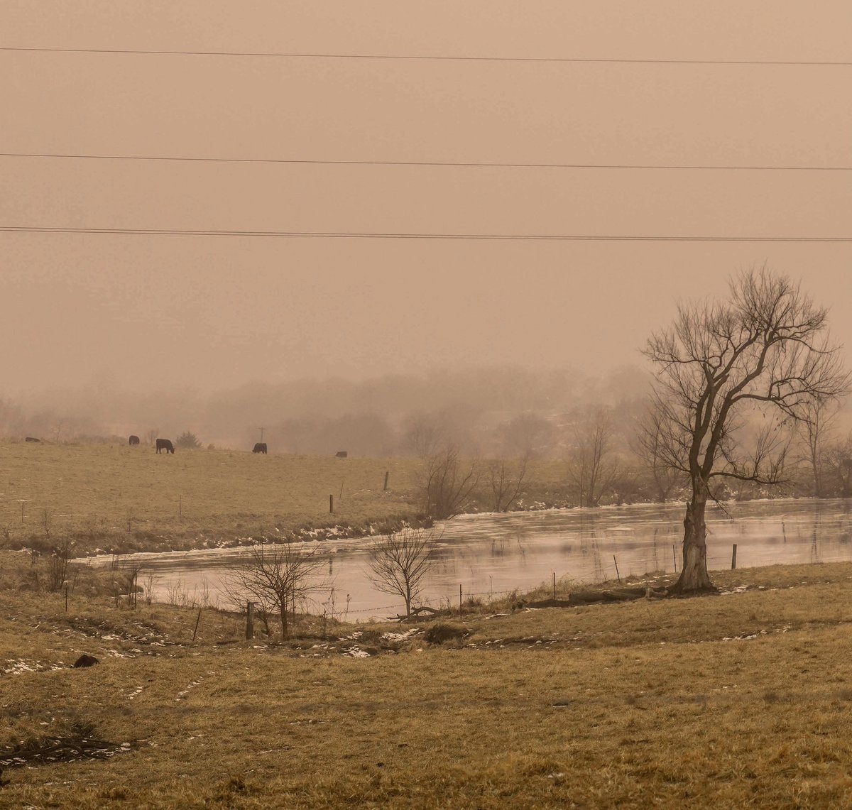 jasminexpowell's tweet photo. beneath the fog is the hour of silence https://t.co/VEloTd3MLQ