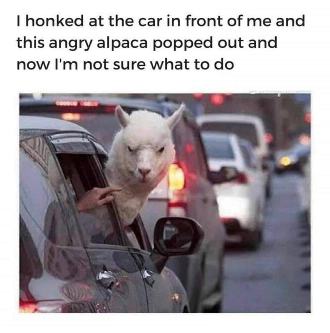 eNetworkSuccess's tweet image. 