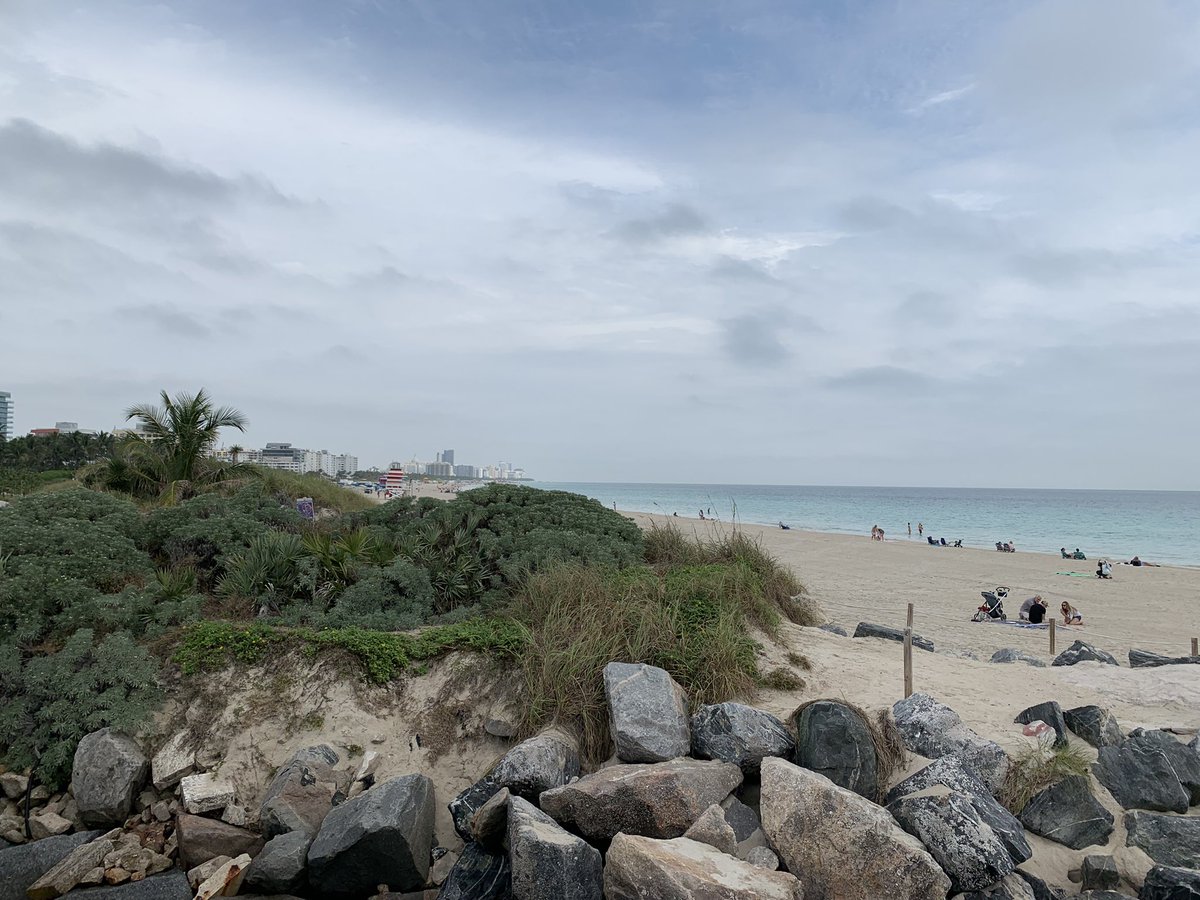 JoshuaEargle's tweet photo. Good morning from South Pointe in Miami 😎🌴
#PawsUp🐾@ https://t.co/OfGRFtZrWR