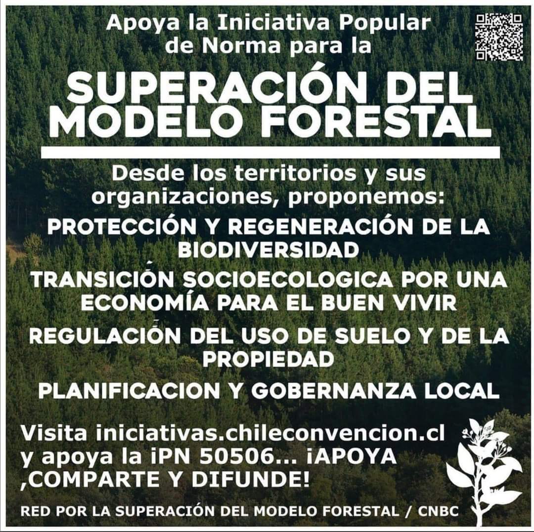 clara_sagardia's tweet photo. Invito a conocer y apoyar esta IPN para la SUPERACIÓN DEL MODELO FORESTAL impulsada por la @cnbbc21 que se encuentra con el número 50506
Aquí el link para leer y firmar: https://t.co/1LTHKGVSPy https://t.co/n5NHbQB6dQ