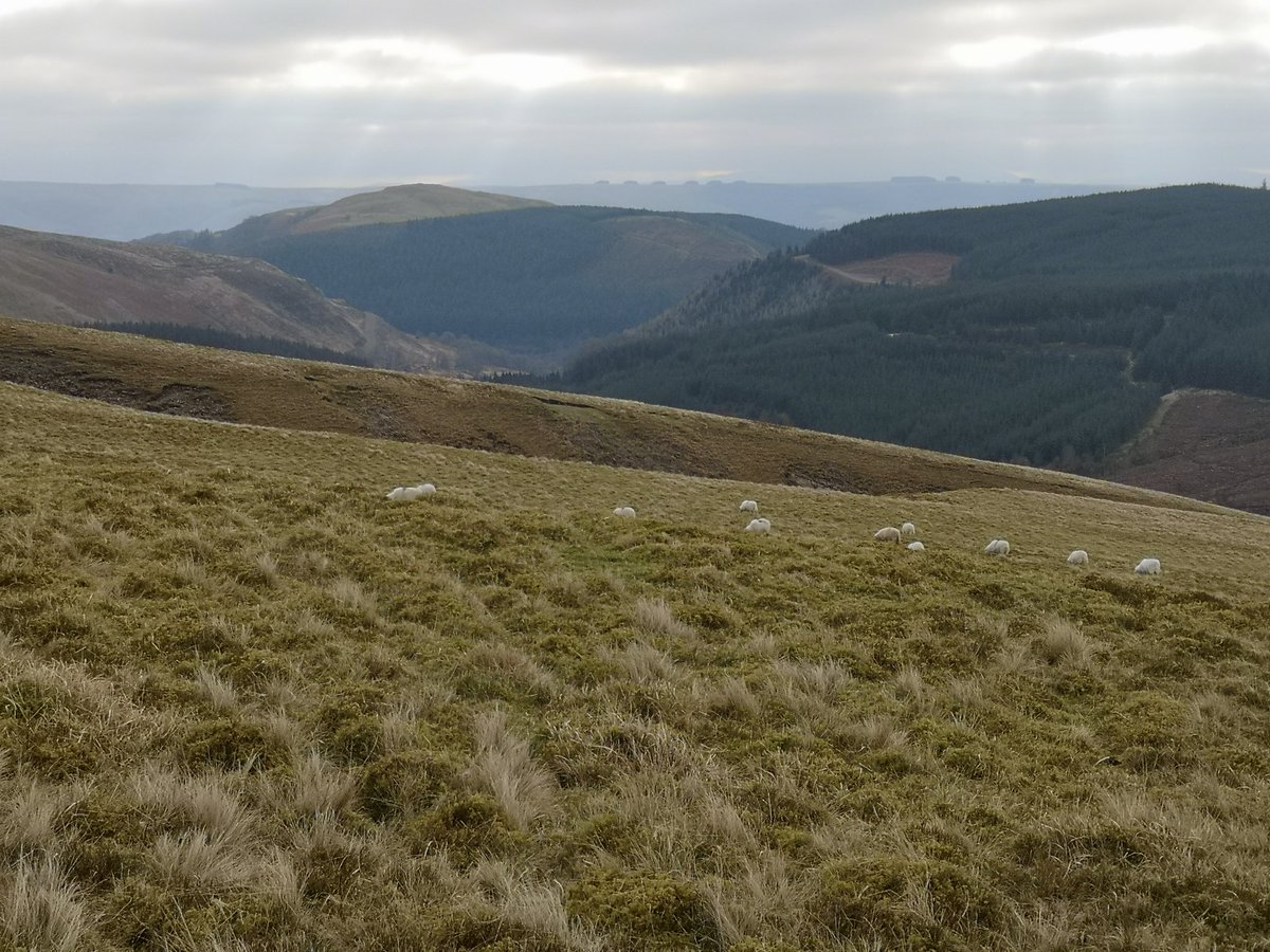 BeckyMorgan73's tweet photo. Bit of me time and escapism before spending the rest of the weekend writing TMA2 #onlytwomoretogo #wellbeing #drygarnfawr #winterwalks #tryingtofindthatbalance @OU_Sport https://t.co/xMfN4gPLKy
