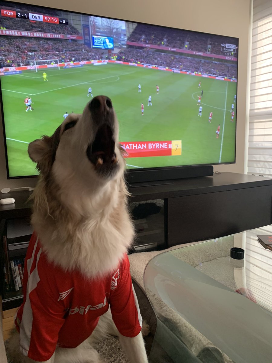 FTIDCOYR's tweet photo. WE ARE THE DERBY HATERS!! COYR @NFFC @TorontoTrickies @mattforde #pieceofstring https://t.co/yBe0EaKAEj