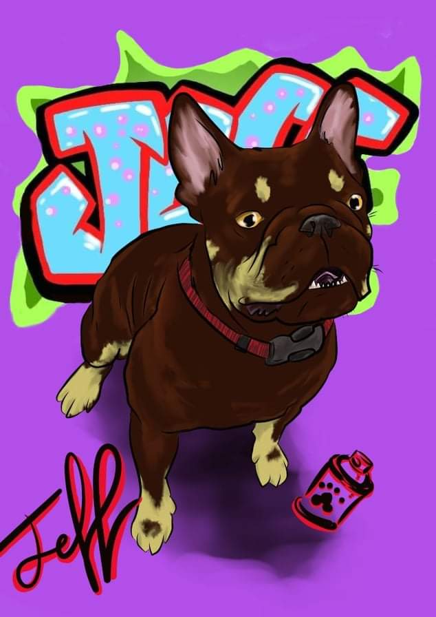 Jeff The French Bulldog tweet media