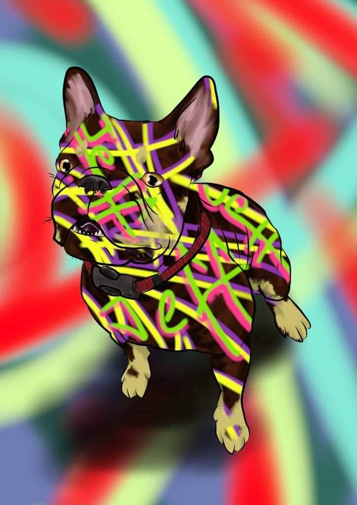 Jeff The French Bulldog tweet media
