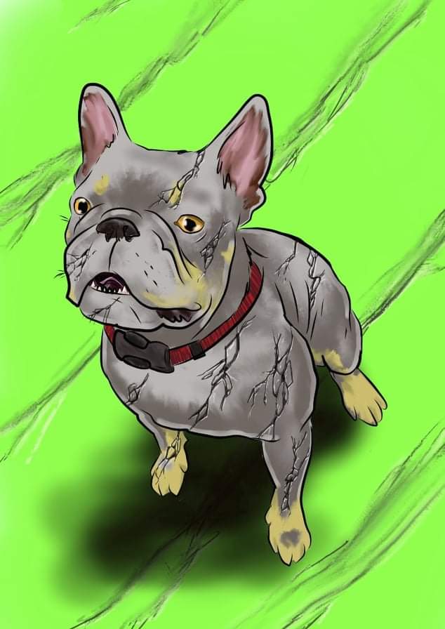 Jeff The French Bulldog tweet media