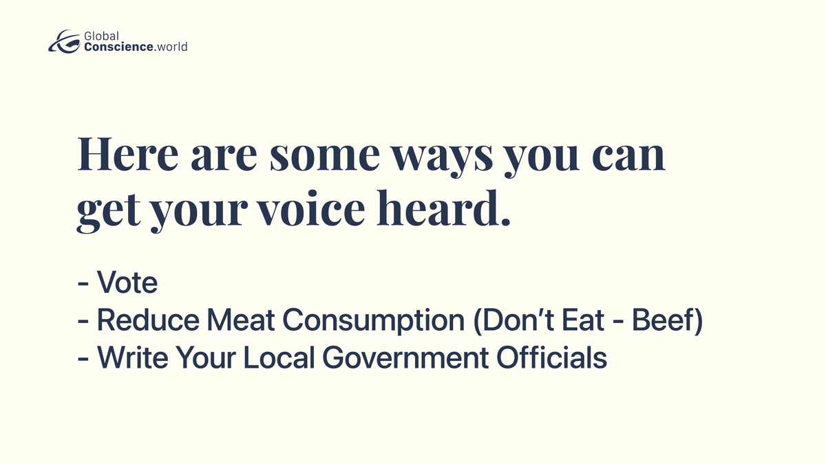 Take action to stop climate change now! Learn the different ways you can help save the planet today at buff.ly/2PpcFAb