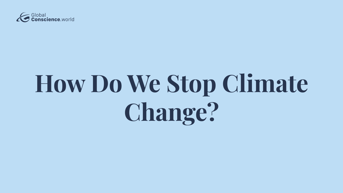 GCworldnews's tweet photo. Take action to stop climate change now! Learn the different ways you can help save the planet today at https://t.co/TynMbi201p https://t.co/U7wXKH748f