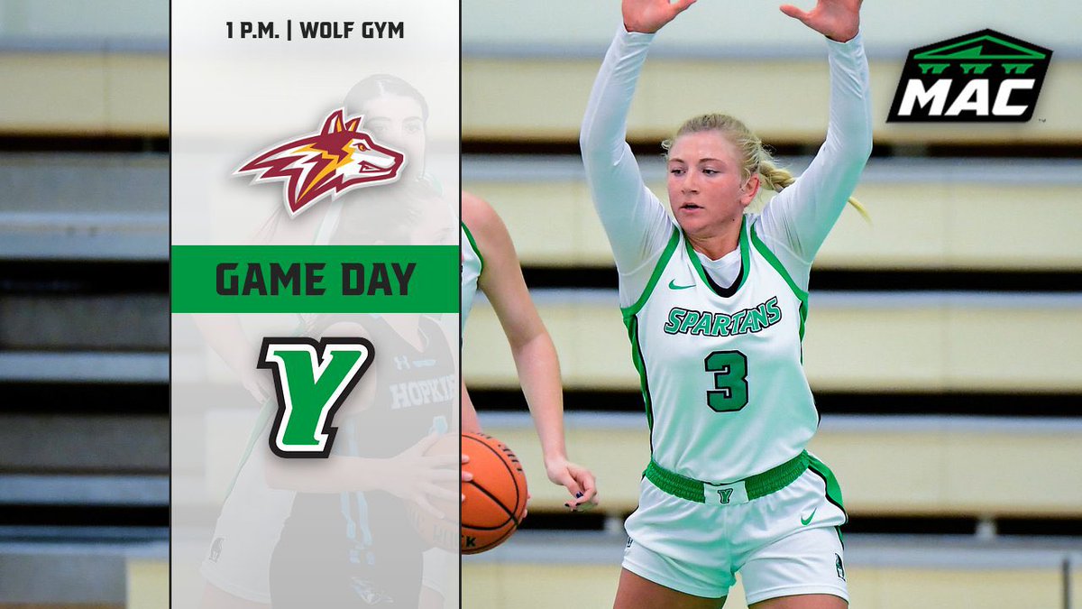 York College Sports tweet media