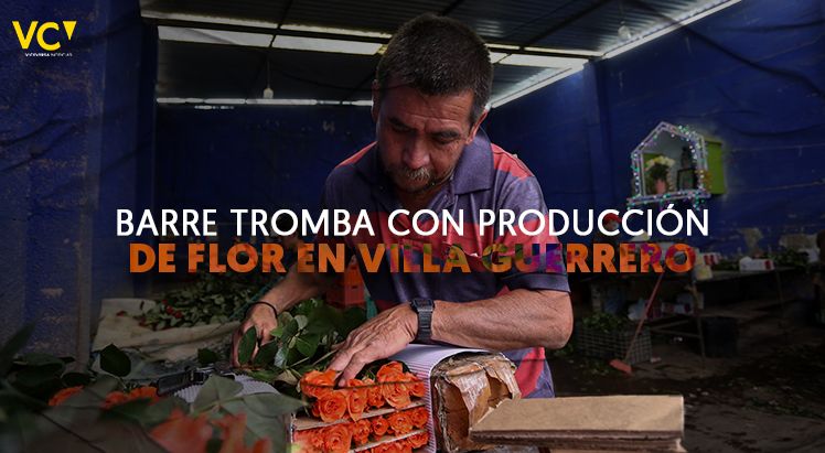 ViceversaNews's tweet photo. “Ahí están las pruebas físicas en los terrenos y en los invernaderos. Nos tocó, nos tocó la de malas y pues todo un año preparándonos para estas fechas vino a culminar con la destrucción de todo- dice Nazario, un productor de flor en #VillaGuerrero.

👉 https://t.co/idHBaeFXDB https://t.co/Qfz3Dy8CNJ