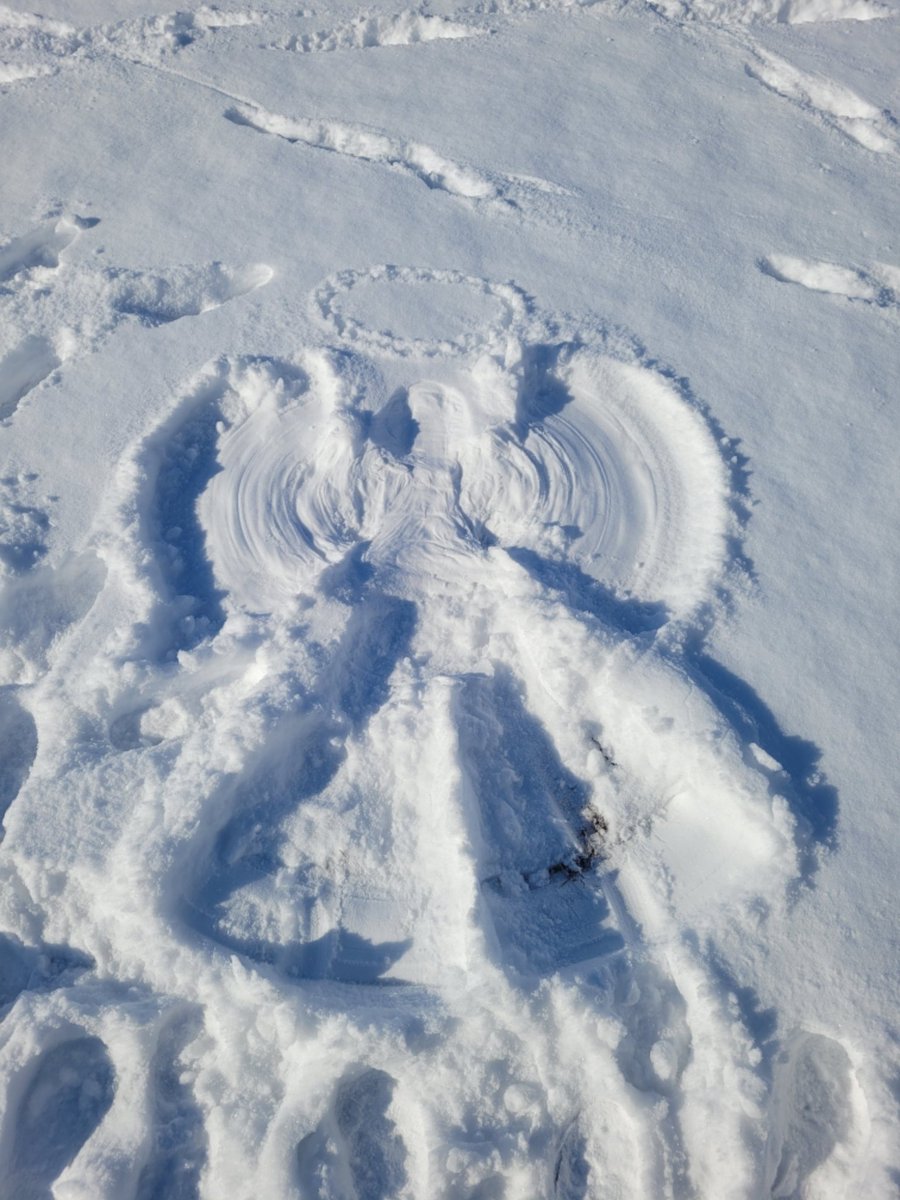 GregHH27's tweet photo. #WRALSNOW @WRAL Hoke County! https://t.co/c2zd8zltz8