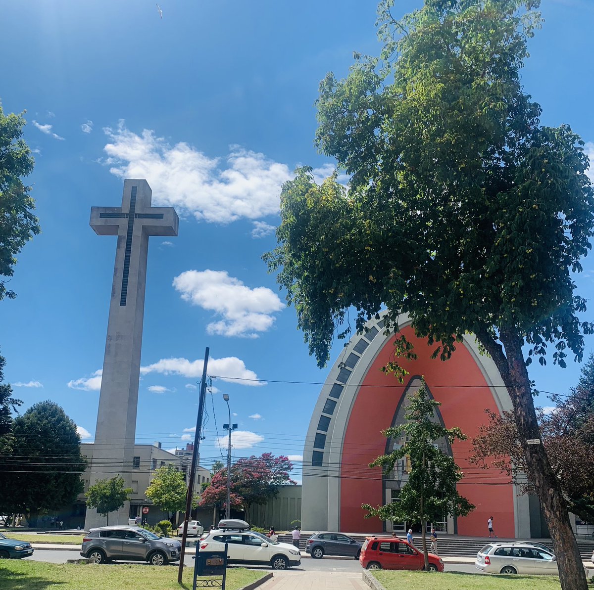 PongoNotas tweet media