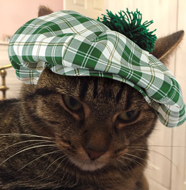 MillieMall's tweet photo. @Hedgewatchers @MittensMia @Treespers42 @BungandZip @canyon_cats Hi everyone! I’m so excited to be here at #hedgewatchcafe with a wee Scottish flavour, for Burns Night! 😺 Will the purristas be adding wee dram to the drinkies today? 😹 🥃
I’m on impawtant #dadwatch business just now as he’s poorly 🦠 (not Covid) but I’d love a takeaway please https://t.co/xlORhdgSGK