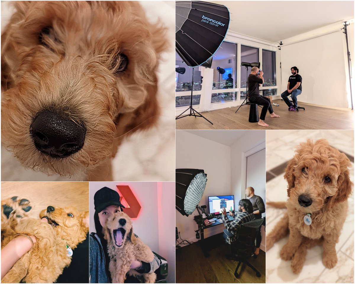 Important meeting w/ Serafin, <a href="/cosmos/">Cosmos - The Interchain ⚛️</a> pup and new hire at @akashnet_. Golden #cosmosdoodle ⚛