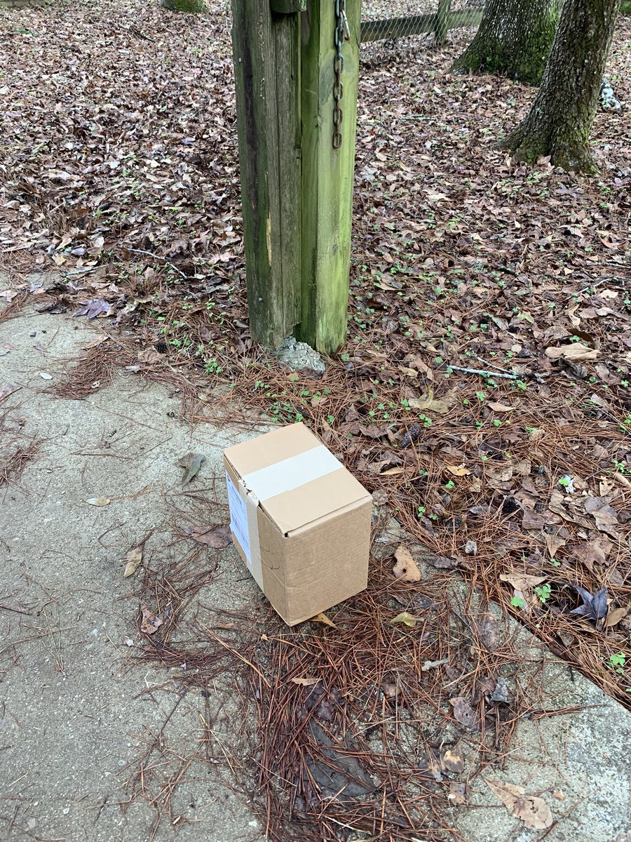 Amy Walker tweet media