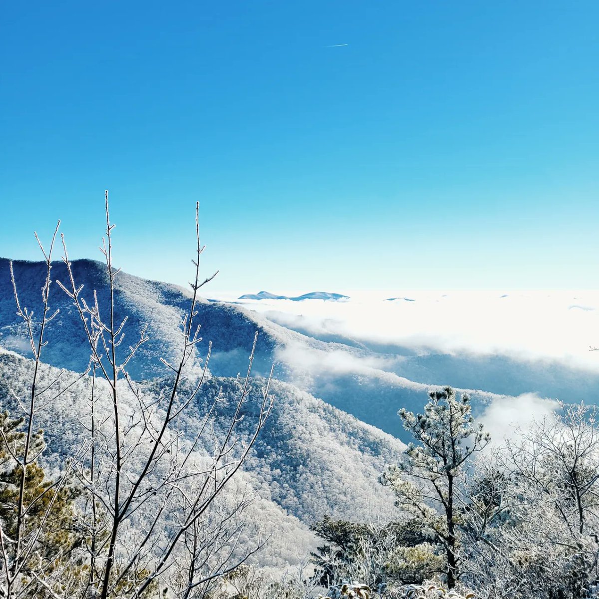 rjames1729's tweet photo. Gorgeous day out here in WNC. I ventured from Montreat up to Pinnacle which is near the parkway at the Mt Mitchell entrance...5600 feet. https://t.co/oFXuHKtEJK