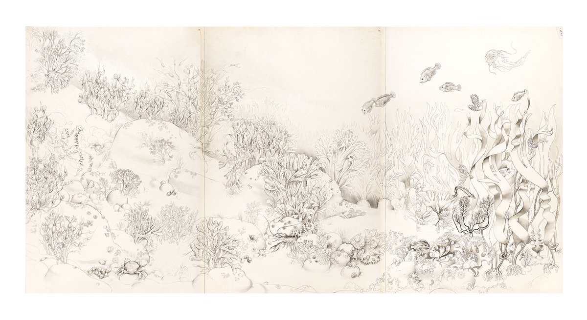 Ann Chow Thomas tweet media