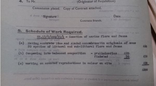 Ann Chow Thomas tweet media