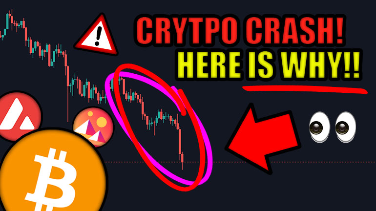 AltcoinDaily's tweet photo. #Bitcoin, Ethereum, Solana, Metaverse coins TANK! 💥

HERE IS WHY 👇👇👇
>>> https://t.co/iFOYLAjXtB https://t.co/QZpB971xBR