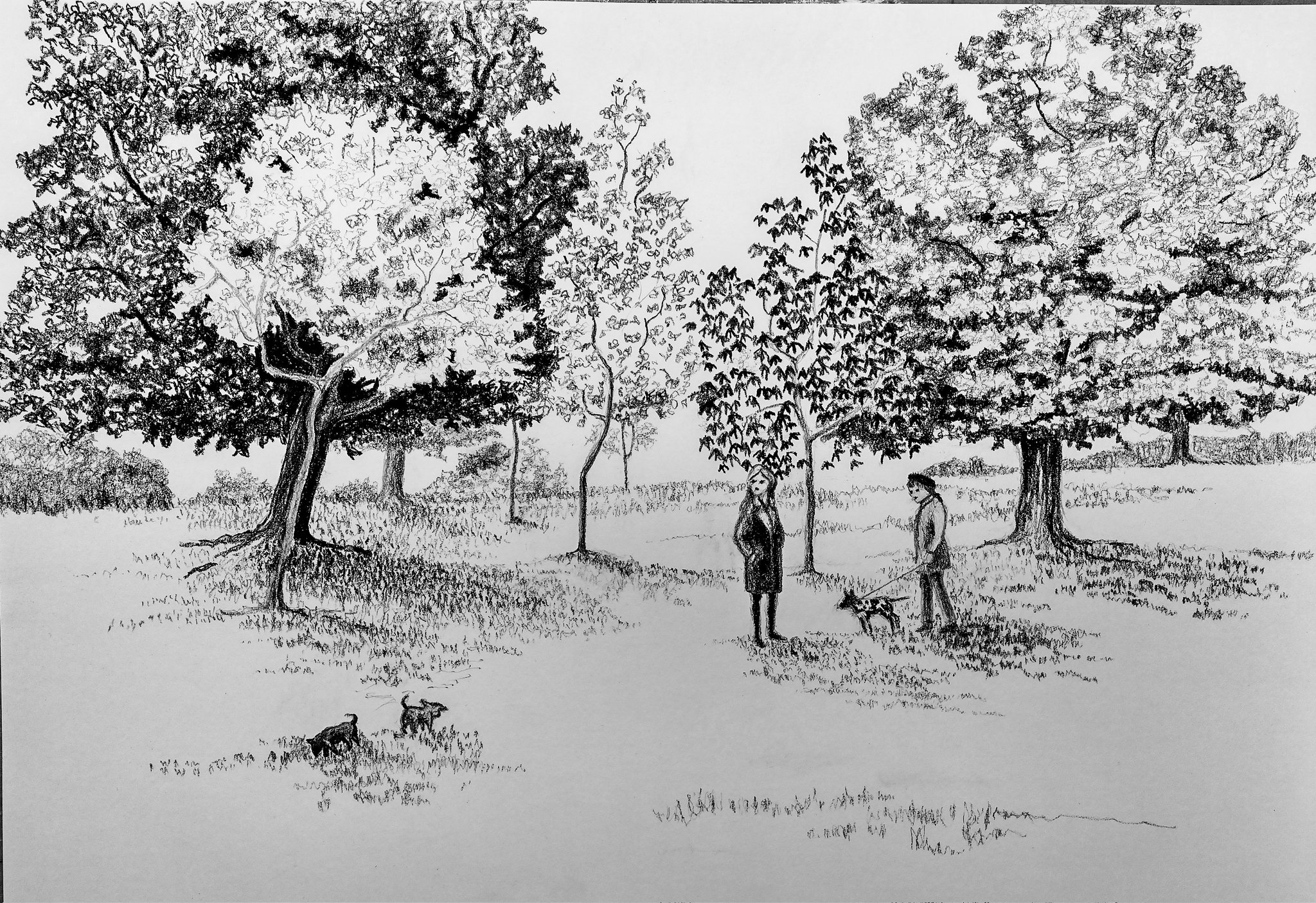 Drawing Trees — Rob Dunlavey