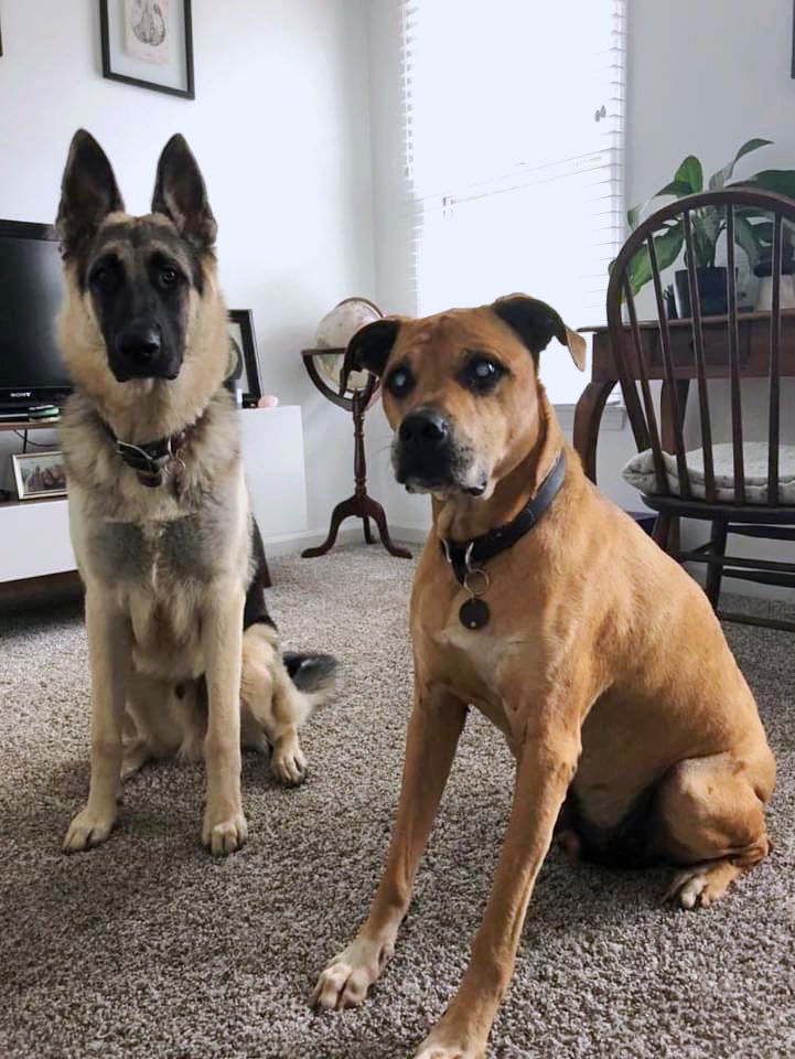 Isabella Palumbo tweet media