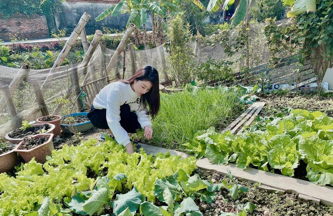 ve que trong ra nuoi ca