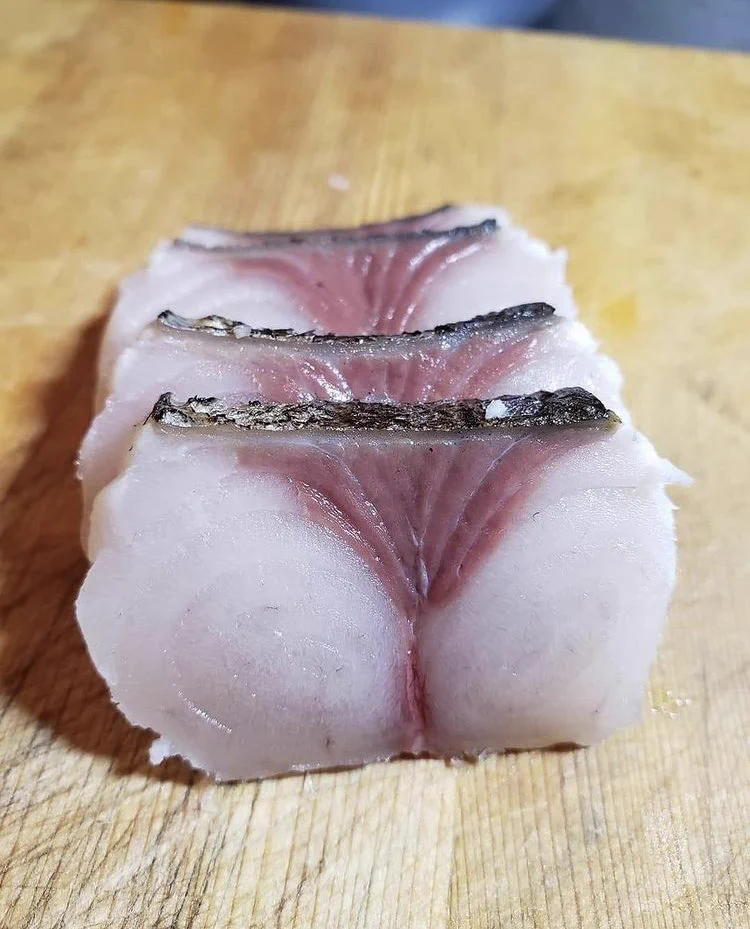 魚の切り身が…タモリ倶楽部のオープニングにしか見えない！
