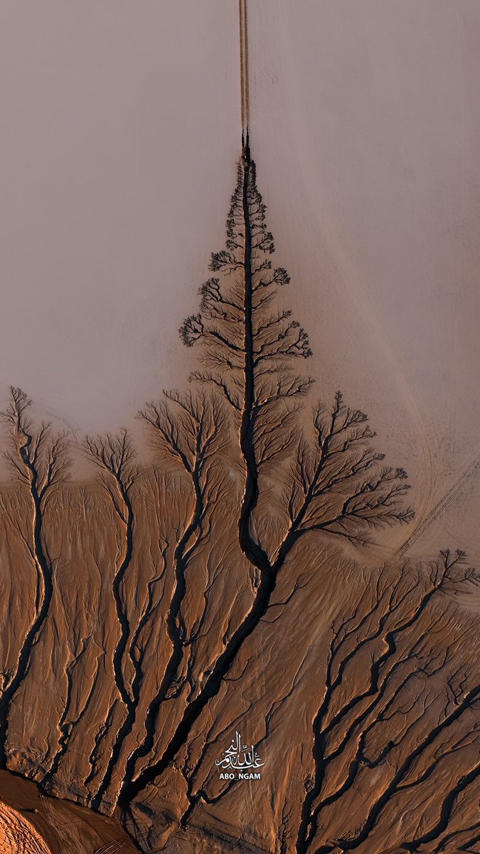 عجائب رسم الطبيعه بعد الامطار 
من شمال المملكة
<a href="/SaudiGeology/">جيولوجية السعودية</a> 
<a href="/sarhaniy/">إبراهيم سرحان | Ibrahim Sarhan</a> 
<a href="/mash10000/">محمد بن عبدالله الشاوي</a> 
<a href="/BadrFAlSaud/">بدر بن عبدالله بن فرحان آل سعود</a>