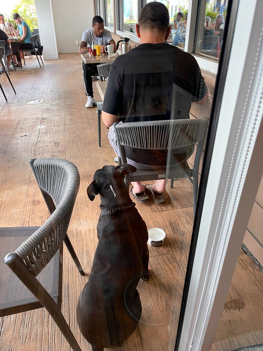 Foto dedicada a quienes se escandalizaron con la petición de entrada de una mascota a una farmacia.

Esto es un restaurante en un país de “primer mundo,” y hasta un bowl de agua les ponen…

Saludos les manda el perro 😉👍🏼