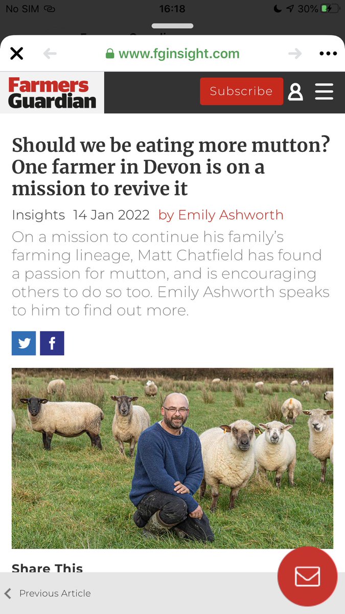 Matt Chatfield tweet media