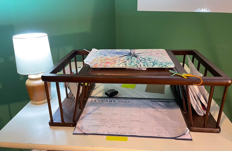 Dr_Brooke_H's tweet image. If you work remotely and are remotely (🤪) like me, your brain is going to be so happy! #remoteworkhack #brainclarity #ADDmind  
Trick #1 Work standing up -some of the time. 

From the “The Extended Mind: The Power of Thinking Outside the Brain”. It helps you with clarity!!