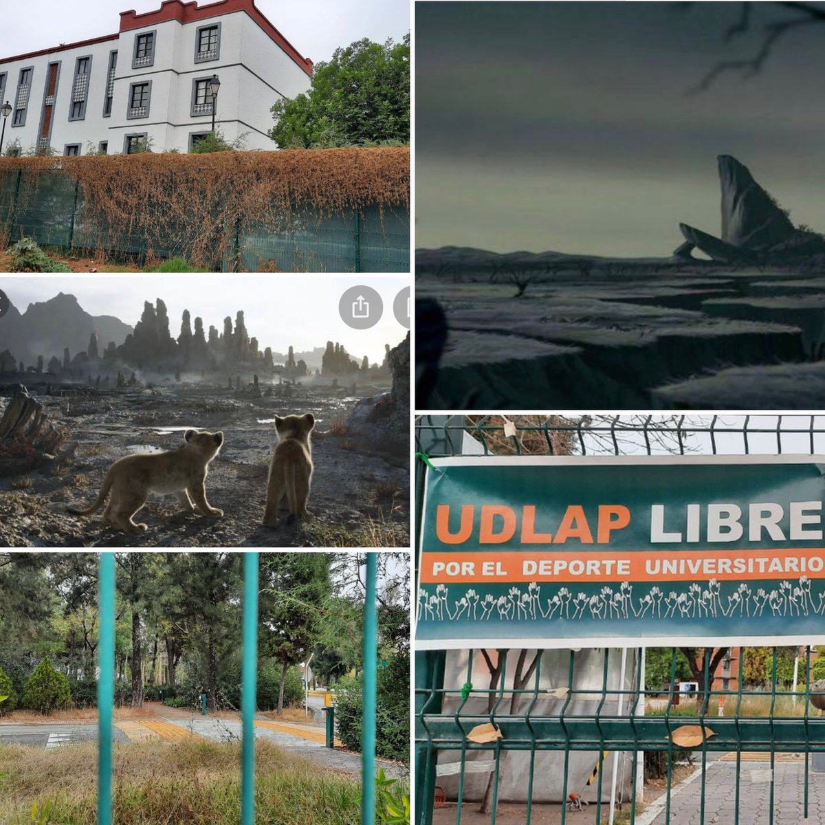 Marijose_mtcl's tweet photo. ¿Recuerdas las escenas en la película del “Rey León” cuando gobiernan las hienas?? Pues así, identico luce la @udlap bajo el @Gob_Puebla , los hechos hablan #cronicadeunsecuestro @DeniseDresserG @Nancydelasa @Savater_ @ricardomraphael @CarlosLoret @PUEvsCORRUPCION https://t.co/EC5B6ajtuq