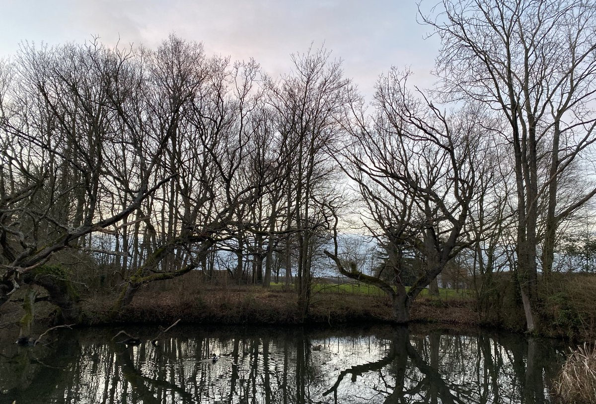 redefineED's tweet photo. 🔅 A sneak peak into today’s #Saturday #sunset #STEPs! Whatever you get up to this #weekend, remember to add a pinch of #wellness, a taste of #nature, &amp; lots of BIG steps! 

#FitLeaders #CodeBreaker #SLecoHUB #edLeaders #creative #leadership #CreativeLeadership #outdoors #workout https://t.co/ALr24DzJqs